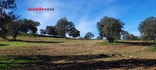 Masia a Pedroche. Finca rústica en pedroche