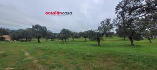 Masia a Pedroche. Parcela rústica en pedroche