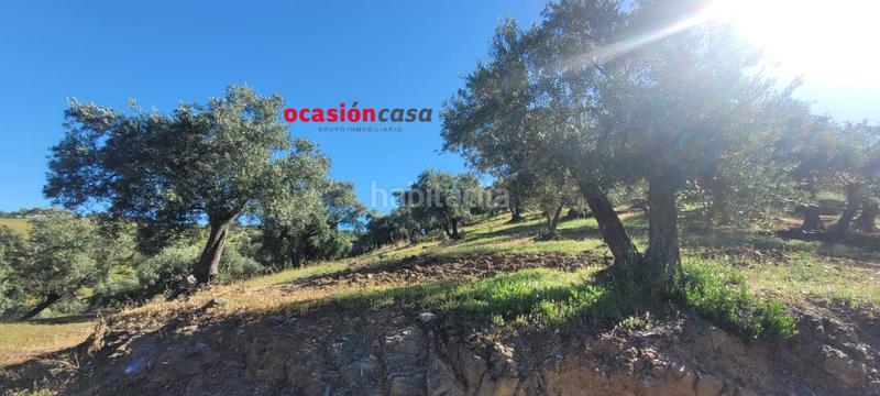 Foto 08ae4dcc-256d-4fec-b9c9-31a04c637e52. Masía olivar con cortijo en Pozoblanco