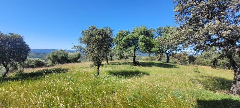 Foto 0aab6535-df42-4aab-8793-4646fc2c1cdb. Masía olivar con cortijo en Pozoblanco