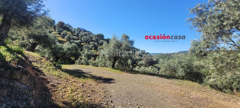 Foto 0d30bad8-46f7-4648-beee-af7e354603f8. Masía olivar con cortijo en Pozoblanco