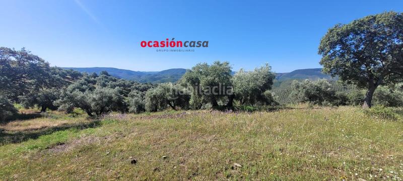Foto 37e0e3b6-32c5-41bf-98d4-446b5ad17f7f. Masía olivar con cortijo en Pozoblanco