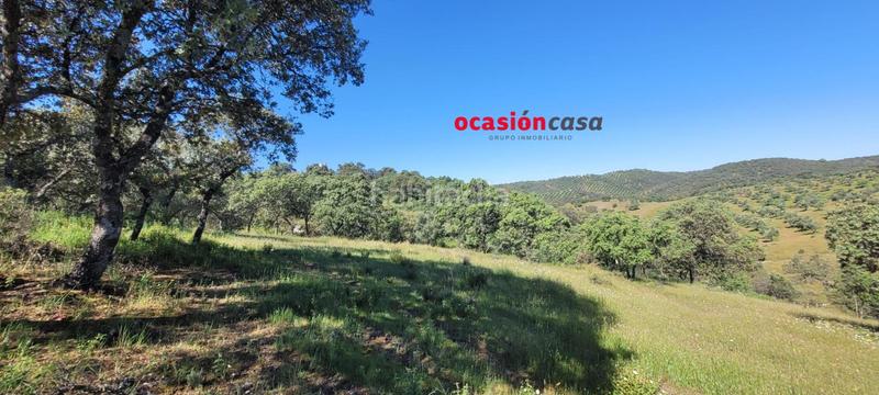 Foto 3f481e9d-64c6-4fe2-b6a7-98b3b4482906. Masía olivar con cortijo en Pozoblanco