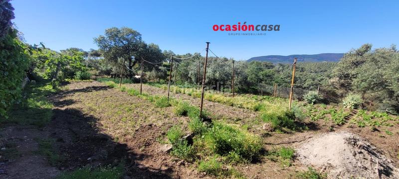 Foto 44de9abc-f968-49b9-ae43-e74a536541f4. Masía olivar con cortijo en Pozoblanco