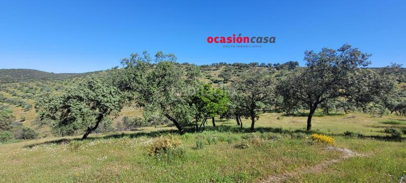 Foto 4b950a91-e6ce-4ee2-b10d-e7a2a4dc1939. Masía olivar con cortijo en Pozoblanco