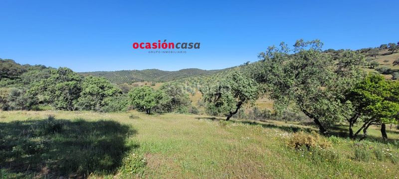 Foto c00778af-918a-4b4b-86e0-61911e51d98d. Masia a Pozoblanco