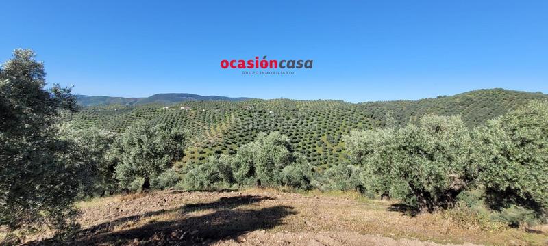 Foto c2d58571-744e-4fd0-a58b-44b7d372d262. Masía olivar con cortijo en Pozoblanco