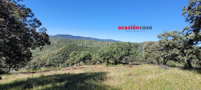 Foto cd5b36c9-cbb9-4996-ba72-f54864c7d3bd. Masia a Pozoblanco