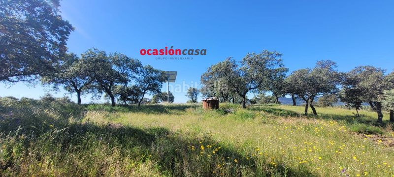 Foto ce09e9f9-42ca-4eaf-80d0-aeda8cbdc758. Masia a Pozoblanco