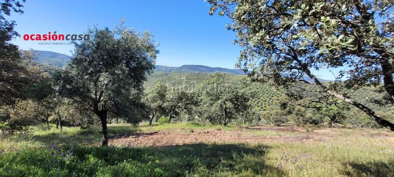 Foto fe0a7056-1dda-4d8b-b01a-b8c30f8880d3. Masía olivar con cortijo en Pozoblanco