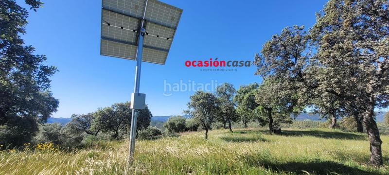 Foto ffa43d40-a5e5-4629-918f-61d824189ea0. Masía olivar con cortijo en Pozoblanco