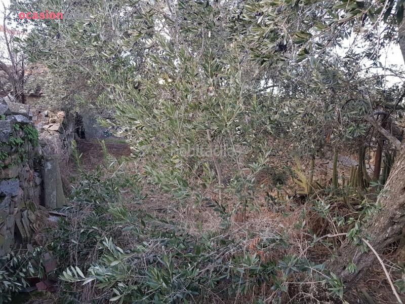 Foto cd8ed499-60b2-4ff3-acee-a485564bedca. Casa  para solar o reformar en Pozoblanco