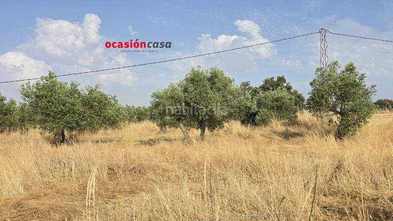 Foto 0f1fad77-f51d-43ee-886f-9f02c5ccc0a0. Xalet amb calefacció a Dos Torres