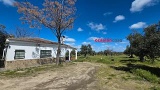 Chalet en Alcaracejos. Chalet con olivar en venta