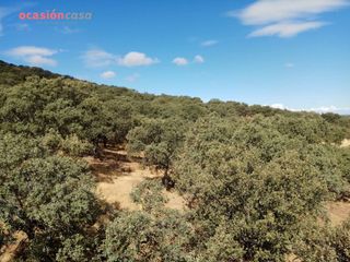 Country house in Villanueva del Duque. Finca en venta en villanueva del duque