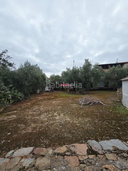 Foto 2c1acd9c-2394-4612-a9ea-9c45579ab9d1. Casa  en Pedroche