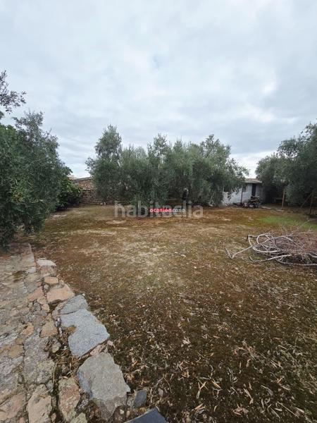 Foto 3c66d002-dbe2-40b5-9dd7-a8f97b9f9f0e. Casa  en Pedroche