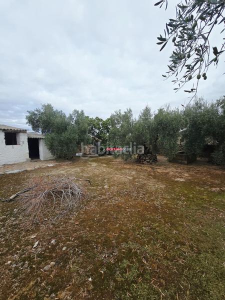 Foto f48314f9-86d4-4ddf-9d3b-a427685de15a. Casa  en Pedroche