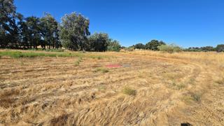 Mas à Villaralto. Parcelas rusticas en venta en alcaracejos