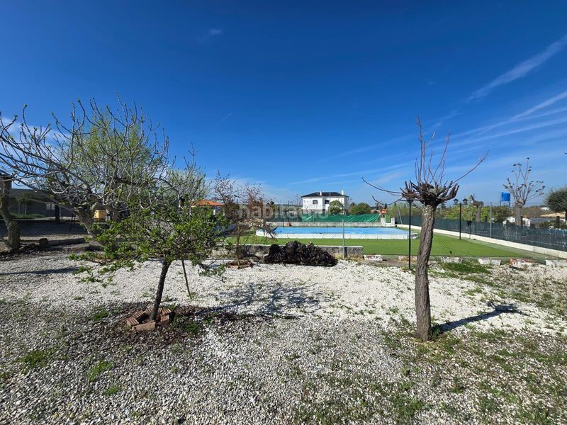 Foto 2fbe97bf-33d5-4b23-9236-c65e60f2bef2. Xalet amb aparcament piscina a Alcaracejos