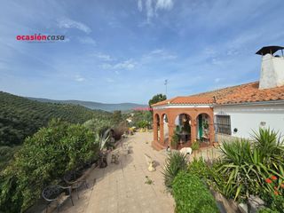 Masia a Pozoblanco. Olivar con cortijo en venta