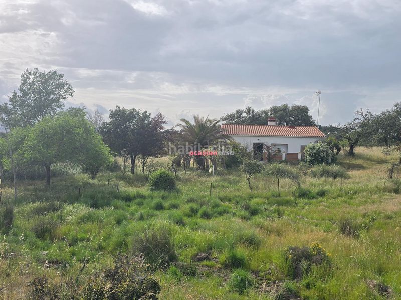 Foto 011a9013-364a-436f-9106-6016df285a38. Xalet a Alcaracejos