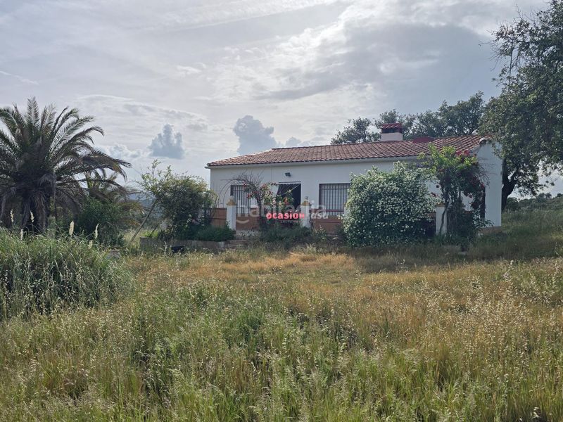 Foto 61122dce-8516-4c0f-b2b7-41b588f0f788. Xalet a Alcaracejos