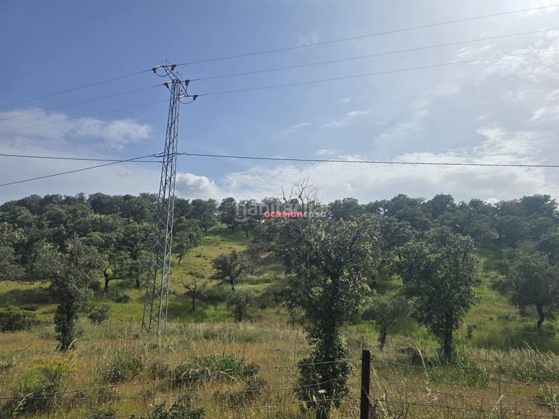 Foto bd832b0f-2710-4d2d-9518-ab43a1221a7e. Xalet a Alcaracejos