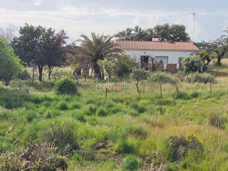 Foto c4e2d288-ce05-4257-bb66-d435d8e4ed0b. Xalet a Alcaracejos