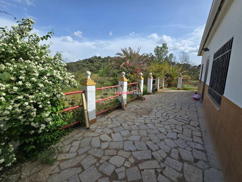 Foto ca6f5678-c6bd-43fc-a260-ed2958a6669a. Xalet a Alcaracejos