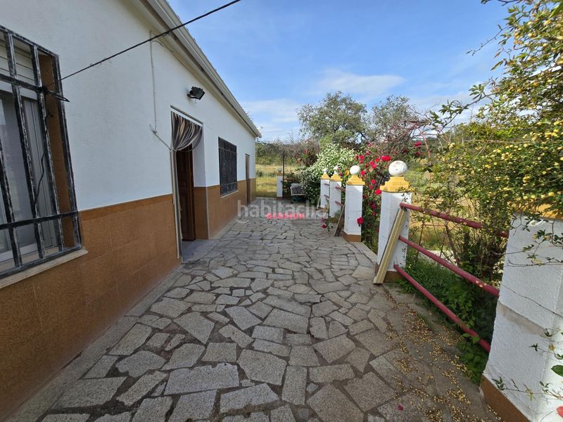 Foto dc5cb5f7-c682-4f0f-bc27-e94b890118fc. Xalet a Alcaracejos