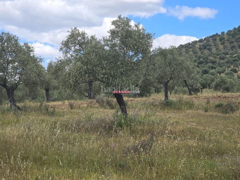 Foto 0959bbd6-7666-4d2d-8825-3c5c4142f34a. Masia a Villaharta