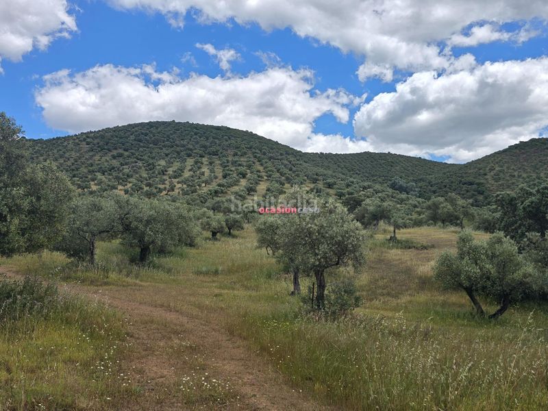 Foto 130efbf3-608d-41d2-b66f-d6fa8fa8b954. Masia a Villaharta