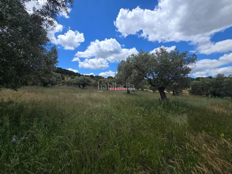 Foto 3604d3be-c56a-4389-9061-52aff19e240a. Masia a Villaharta