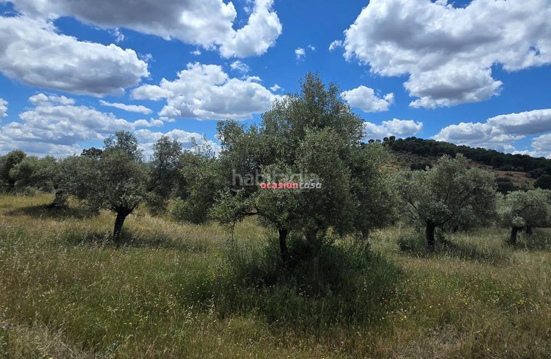 Foto 4c4eb498-a775-4b3c-abc5-a7e4a50a06ec. Masia a Villaharta