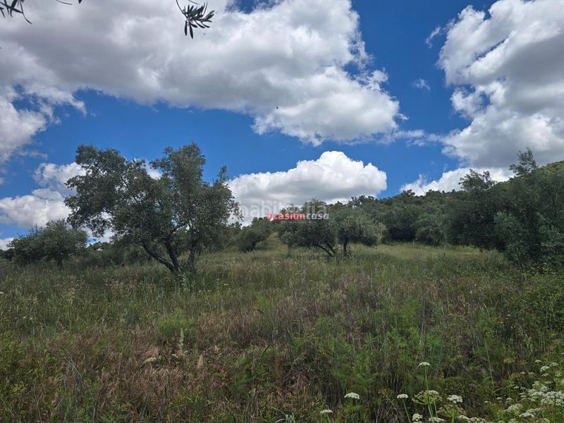 Foto a7fdaf79-b835-4280-adff-6b21f037a377. Masia a Villaharta