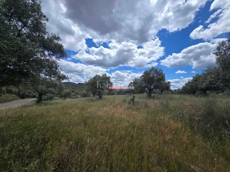 Foto b7f5c6b4-6384-4686-bb46-e60d2b04ffe9. Masia a Villaharta