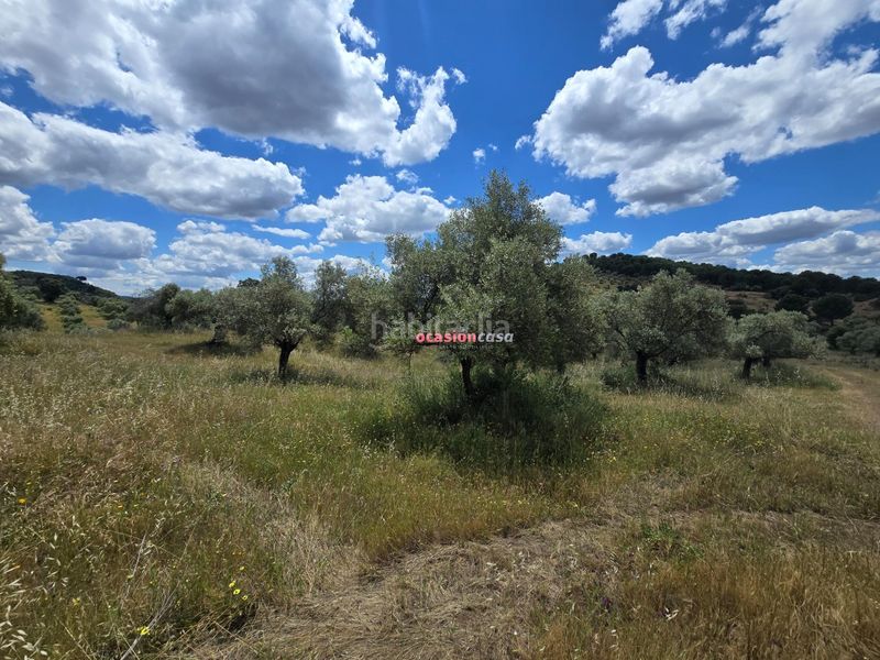 Foto d964534d-dba6-4437-a190-483ab1616802. Masia a Villaharta