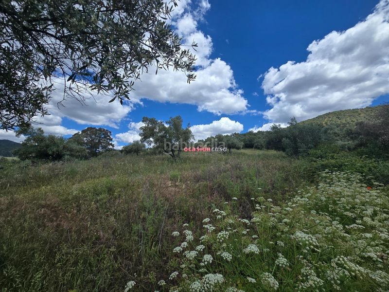 Foto ffac0086-d36f-4bdc-b138-c838b5ee2181. Masia a Villaharta