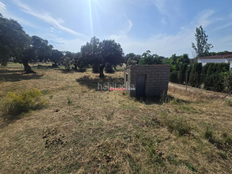 Foto 2605550c-8d48-4e22-8fb3-a7997f3034a4. Terreny residencial a Añora