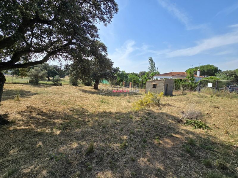 Foto 71478907-97fe-4508-95d3-6be5124631ea. Terreny residencial a Añora