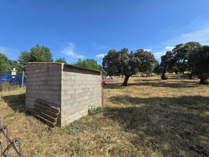 Foto 90879501-4d1e-4395-a85f-75479b06a36c. Terreny residencial a Añora