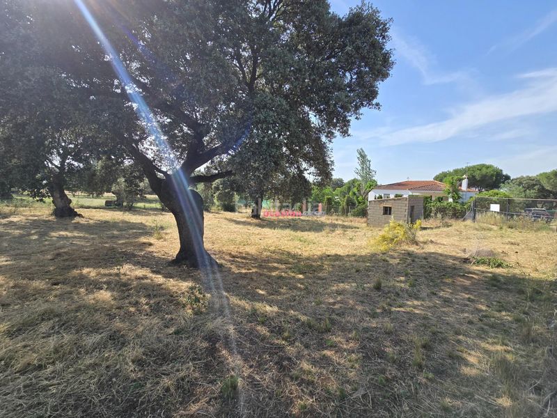 Foto b00e4911-ea48-4aa0-9f79-5a78e2f93e03. Terreny residencial a Añora