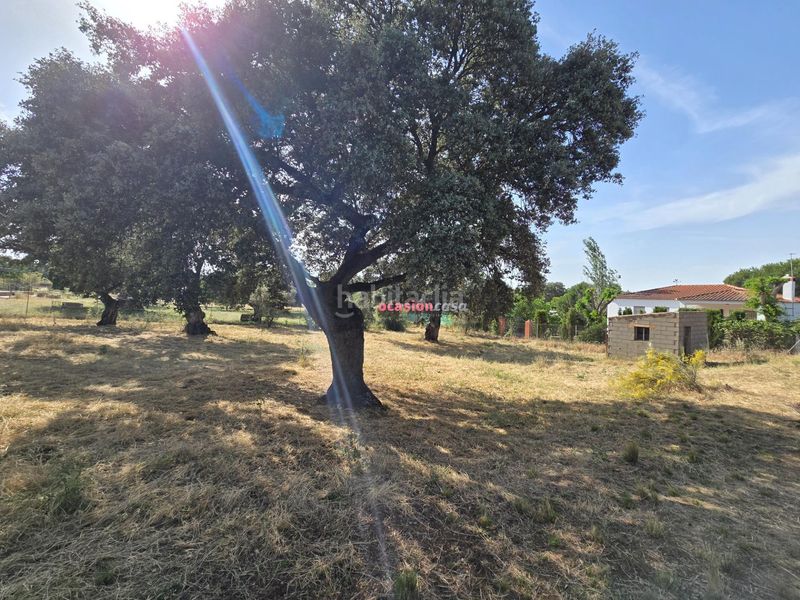 Foto f7c8e239-7b29-4fcc-9734-982626776eb0. Terreny residencial a Añora