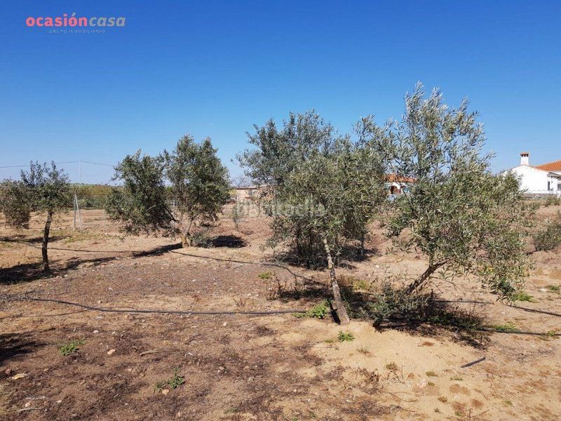 Foto 9c1b5cde-ab4b-4787-947c-f8ba3a4b6735. Chalet en exclusiva! en Añora