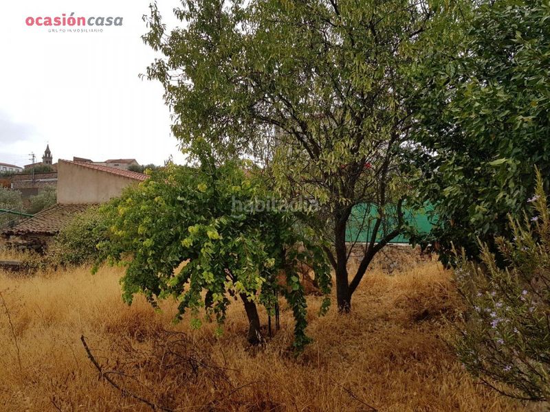 Foto d7199f50-4fc6-4069-871a-d4dbc959b5d5. Casa amb calefacció a Pedroche