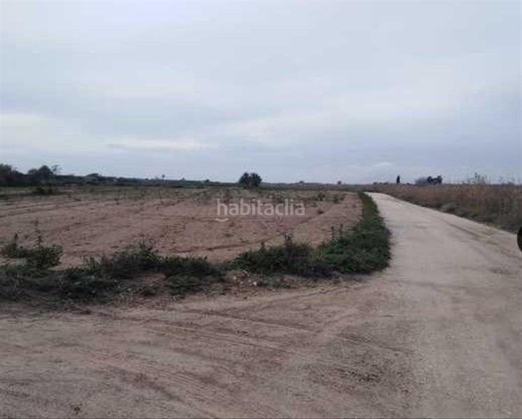 Foto 43cc86e9-a530-4de2-905c-3ca23f6ae281. Finca rústica a La Marina Elche / Elx