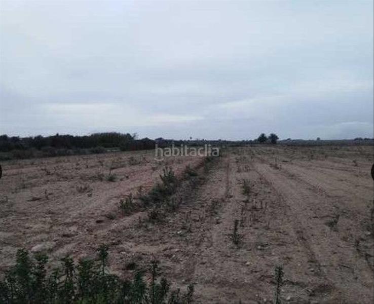 Foto 57fe6e25-b50f-4aad-9809-cd421c26d2ea. Finca rústica a La Marina Elche / Elx