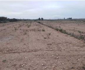 Finca rústica a La Marina. Terreno rustico en venta en partida el molar