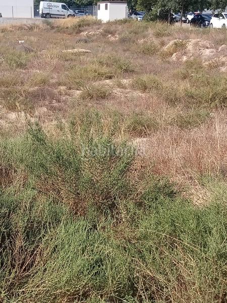 Foto 427fc264-e040-4d31-a56c-22800a07fe5b. Terreny residencial a Torrellano Elche / Elx